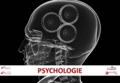 psychologie-1.jpg