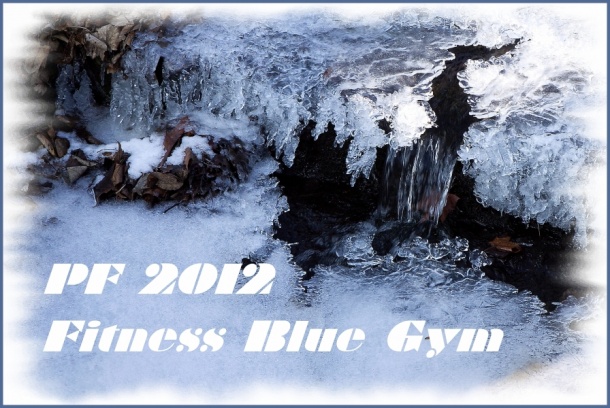 PF 2012 Fitness Blue Gym Brno